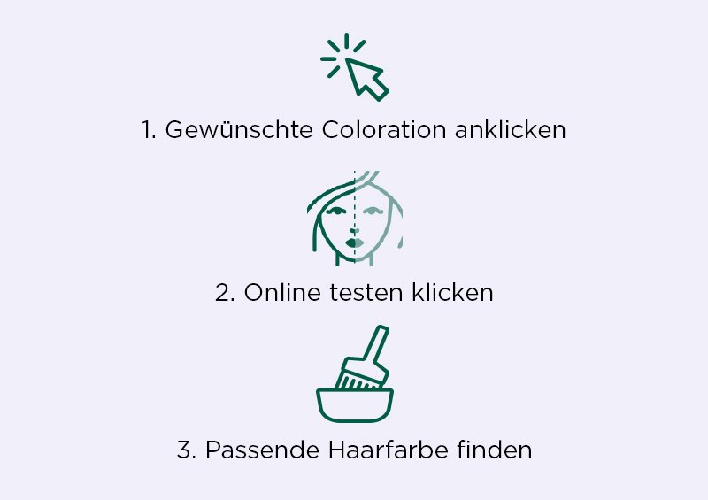 Modiface Tutorial Schritte
